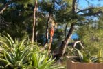 Jardin du Sud